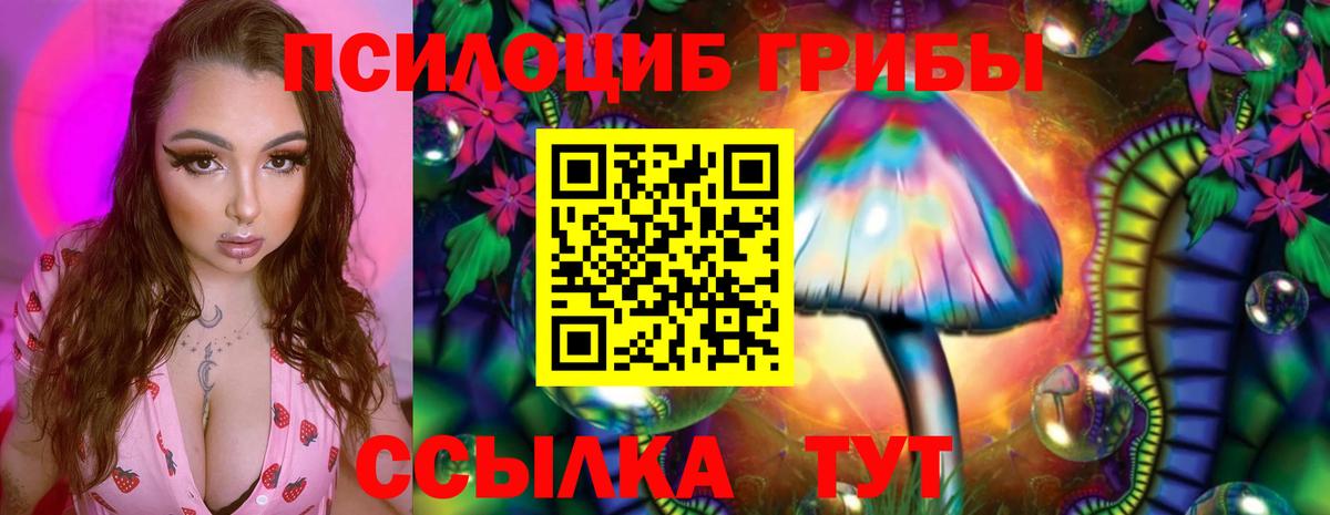 цена   Псилоцибиновые грибы Psilocybe  Вход с VPN  Нижний Новгород 
